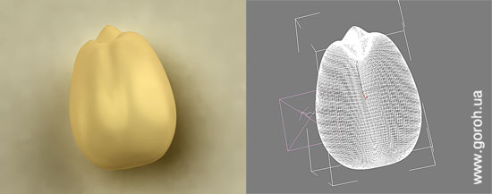 ТМ «АС». 3D-иллюстрация ядра подсолнечника.