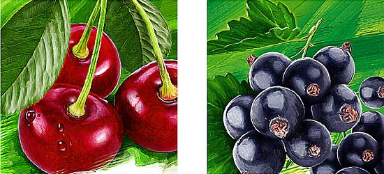 “Biola” juices. 2014 year. Illustrations. “Cherry”, “Black Currant”